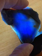Saffier Indrukwekkend groot koningsblauw saffierkristal.
