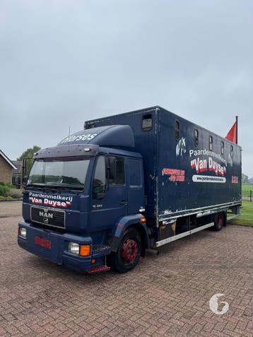 Degelijke MAN paardenvrachtwagen! Elektrische achterlader!, Ophalen, Zo goed als nieuw, Aluminium, 2-paards trailer