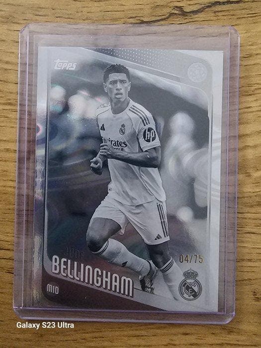 panini/topps limitiert/auto/relic - 24 Card - Near Mint (NM), Collections, Autocollants