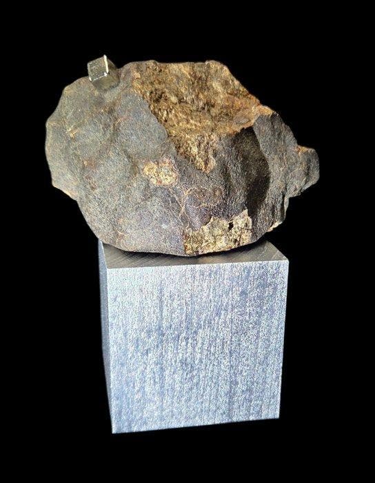 Big Météorite Chondrite from Algeria with a very nice fusion, Antiek en Kunst, Curiosa en Brocante