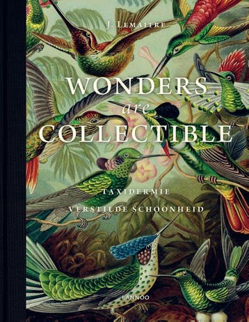 Wonders are collectible 9789401429696 Jeroen Lemaitre, Boeken, Verzenden, Gelezen, Jeroen Lemaitre
