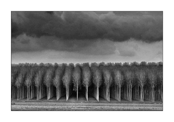 Sergio Sberna - Terre basse, Antiquités & Art, Art | Objets design