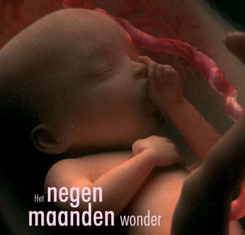 Het negen maanden wonder 9789058976871, Boeken, Verzenden, Gelezen