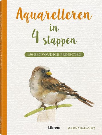 Aquarelleren in 4 stappen 9789463594950 Marina Bakasova, Verzenden, Marina Bakasova