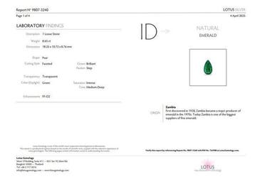 1 pcs Vert Émeraude - 8.65 ct - Lotus Gemology (Thaïlande) -