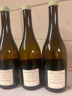 2023 Maison Fang, Cuvee Zephyr Blanc - Savigny lès Beaune -, Verzamelen, Wijnen, Nieuw