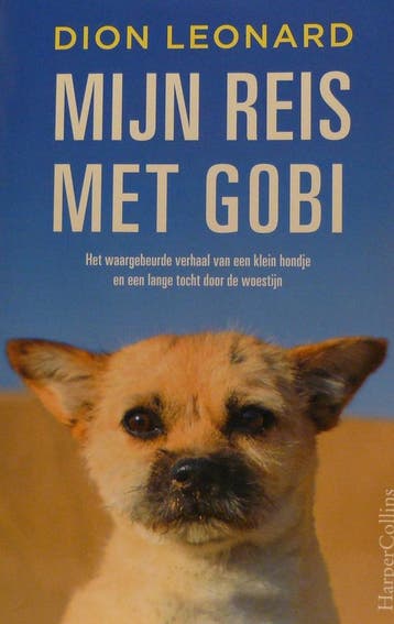 Finding Gobi 9789402701944 Dion Leonard, Verzenden, Dion Leonard