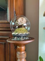 Chat Support de corps entier pour taxidermie - Felis Catus -