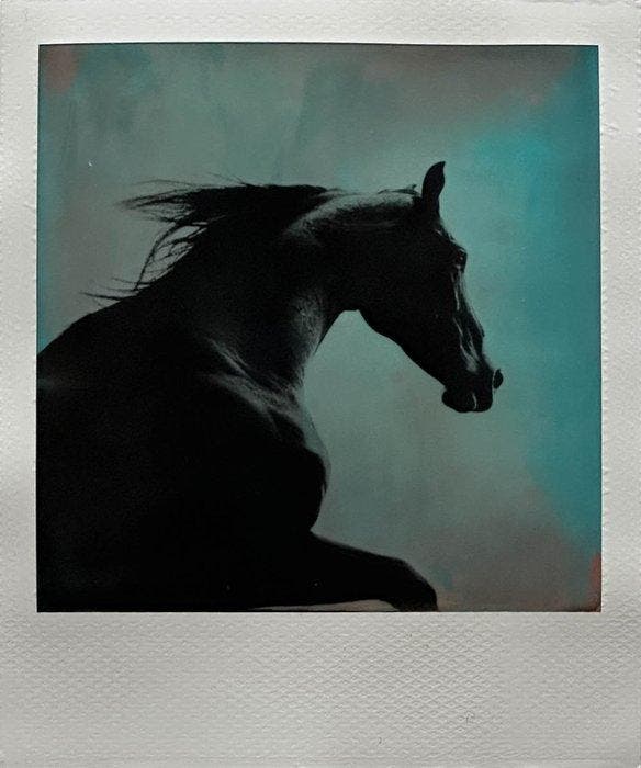 Christof René Schmidt - Pferd, Antiquités & Art, Art | Objets design