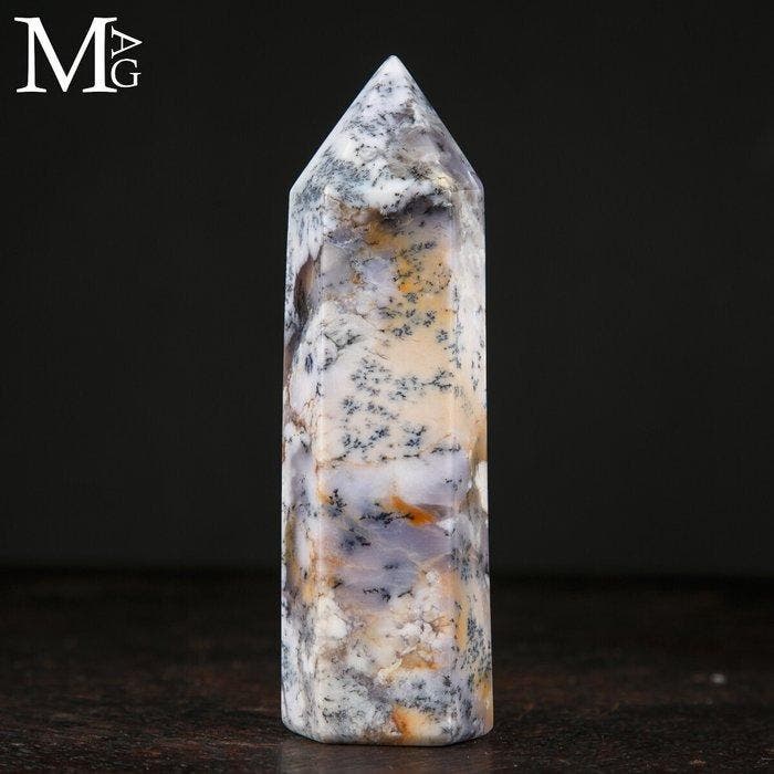 Aragoniet-inclusies - First Choise Mineral - Dendritische, Verzamelen, Mineralen en Fossielen