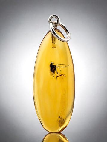 Premium Baltisch Amber Hanger – Grote dansvlieg-fossiel &