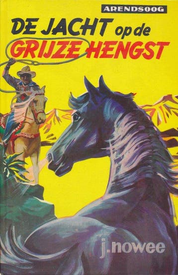 Arendsoog 19: De jacht op de grijze hengst - Nowee, Verzenden, Nieuw