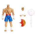 Ultra Street Fighter II: The Final Challengers Action Figure, Ophalen of Verzenden