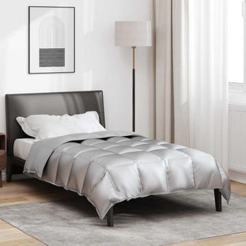 vidaXL Winter Duvet 135 x 200 cm 450 gsm Zilver, Huis en Inrichting, Verzenden, Nieuw