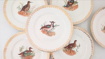 Seltmann Bavaria - Per 6 persone - Service de table (7) -