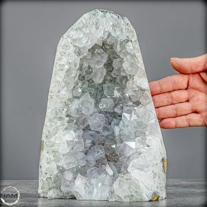 Amethystdruse – kristallijne elegantie in haar puurste vorm, Collections, Minéraux & Fossiles