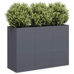 vidaXL Plantenbak 120x40x80 cm koudgewalst staal, Verzenden, Nieuw