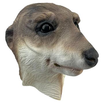 Meerkat/stokstaartje, Verzenden, Nieuw