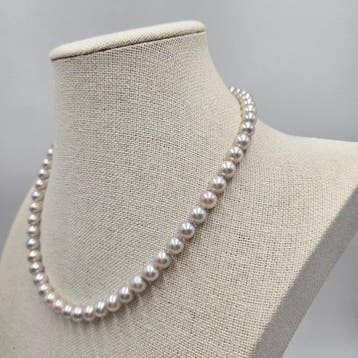 Zonder minimumprijs - Halsketting Zilver Parel - Akoya Pearl, Nieuw