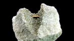 Allanite - Trimouns, Luzenac, Pyreneeën, Frankrijk - Hoogte:, Collections, Minéraux & Fossiles