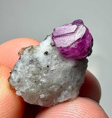 Robijn Kristallen op matrix - Hoogte: 13 mm - Breedte: 10