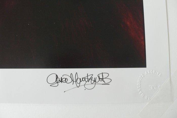 Gered Mankowitz - Kate Bush, Antiek en Kunst, Kunst | Designobjecten