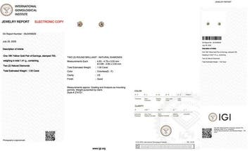 Zonder minimumprijs - Oorbellen - 18 karaat Geel goud -, Nieuw