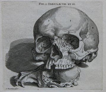 Andreas Vesalius und Eduard Sandifort - Tabulae ossium, Antiek en Kunst