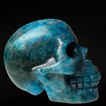 Skull en Apatite - premium Gravure - Hoogte: 60 mm -, Antiek en Kunst
