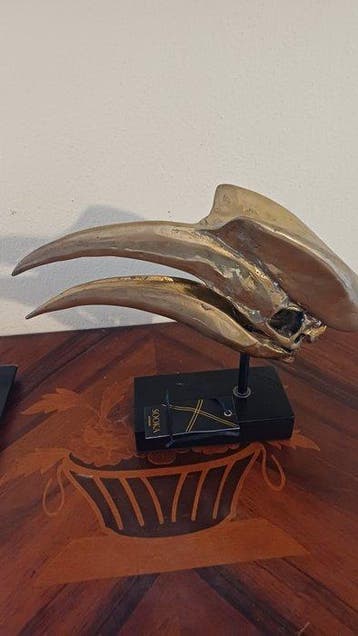 sooka - Jake Richmond - sculptuur, Scultura Teschio di