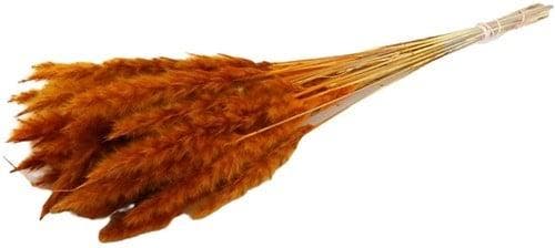 Fluffy Pampas Oranje 70gr 75-80cm, Maison & Meubles, Accessoires pour la Maison | Plantes & Fleurs artificielles