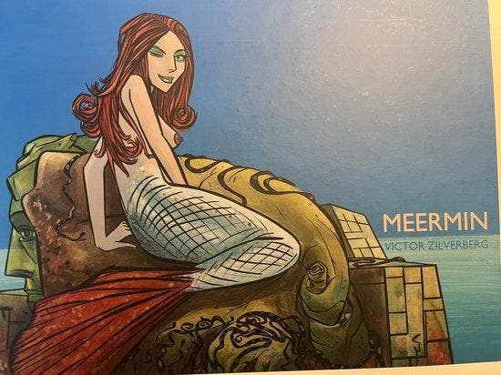 Meermin 9789077210086 Adri van Kooten, Livres, BD, Envoi