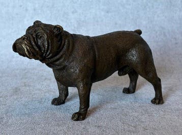 Beeld, Bull Dog - 8 cm - Brons