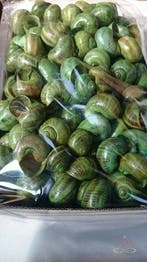 Landsnail small schelpen Appelgroen 250 gram, Hobby en Vrije tijd, Nieuw