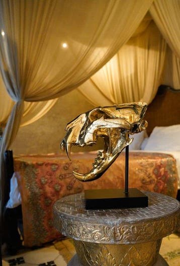 sculptuur, High quality, bronze-cast Sumatran Tiger skull -