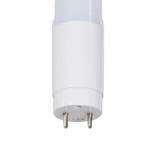 LED TL Buis - T8 - 150cm - 6400K - 2160 Lumen - 24W - Half-, Ophalen of Verzenden, Nieuw