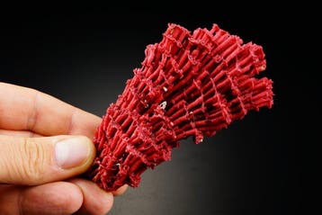 Zeldzame aragonietstructuur - Rode koraal uit - extra, Verzamelen, Mineralen en Fossielen