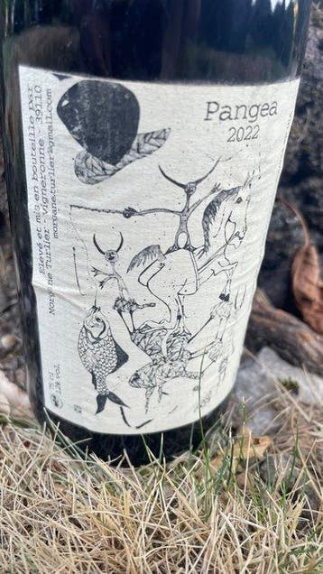 2022 Morgane Turlier Pangea - Jura - 1 Bouteille (0,75 l)