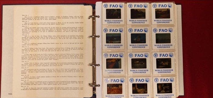 Monde. 1984, World Fisheries Conference Coin Set (Sans prix, Postzegels en Munten, Munten | Europa | Niet-Euromunten