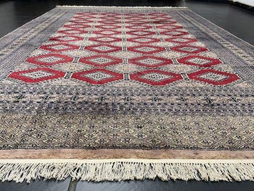 Buchara - Tapijt - 310 cm - 215 cm, Nieuw