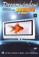 Dreamwindow - goudvis op DVD, Cd's en Dvd's, Dvd's | Overige Dvd's, Nieuw in verpakking, Verzenden