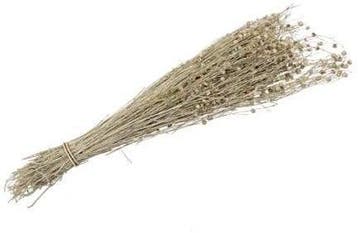 Lino Grass Vlas Linum Droogbloem Bundel Yellow Geel 100 gram, Nieuw