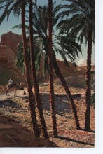 Bureau allemand en Turquie - Lot de cartes postales Feldpost