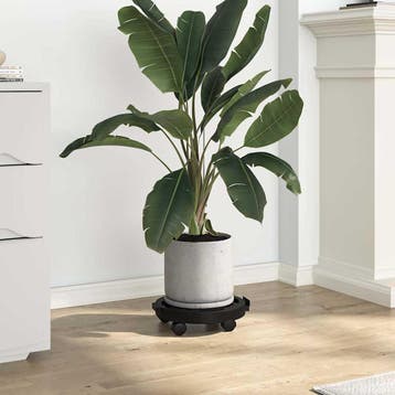 vidaXL Plantentrolley met wielen 170 kg diameter 30 cm zwart, Tuin en Terras, Verzenden, Nieuw
