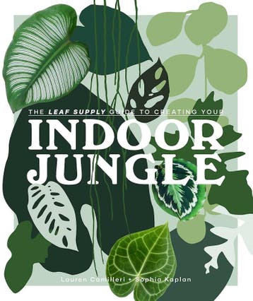 Indoor Jungle 9781925811254 Lauren Camilleri, Verzenden, Lauren Camilleri