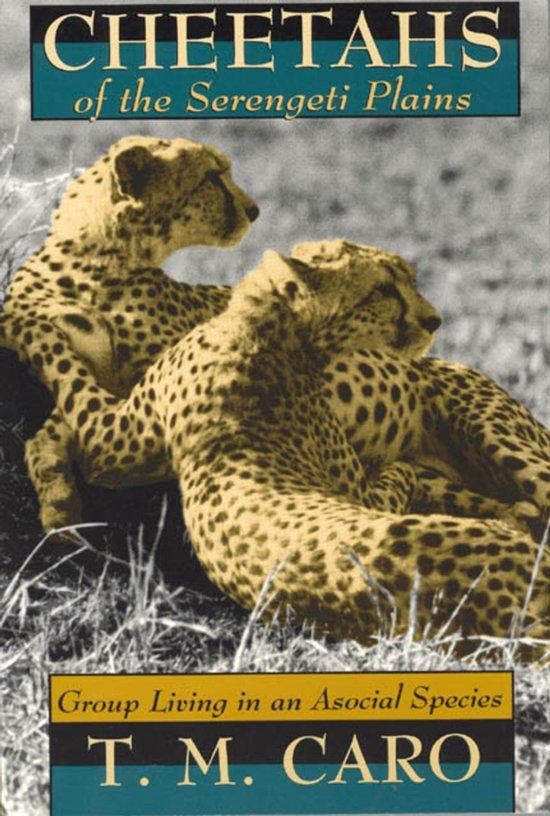 Cheetahs of the Serengeti Plains 9780226094342 Tim Caro, Boeken, Taal | Engels, Gelezen, Verzenden