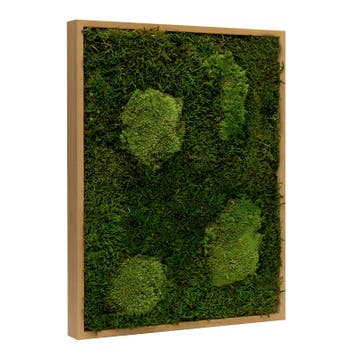 Mosschilderij Lappenmos-Bolmos 70x100 cm Eikenhout - Viborg, Verzenden