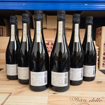 2022 Luigi Coppo, Alta Langa DOCG - Piëmont Brut - 6 Flessen, Nieuw