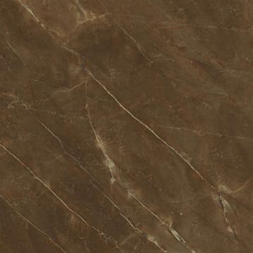 VERSACE Pulpis Marrone 78x78 Hoogglans / Vloertegel en, Ophalen of Verzenden, Nieuw