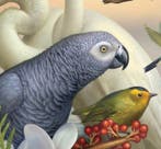 Kleury.art - Tropical Aviary” by Kleury.art (1/5)